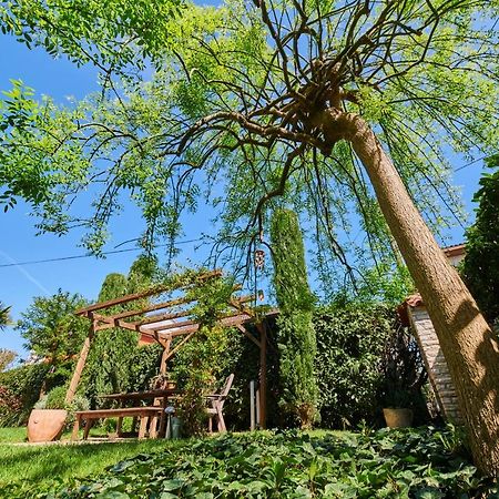 Avantgarden Umag Kültér fotó
