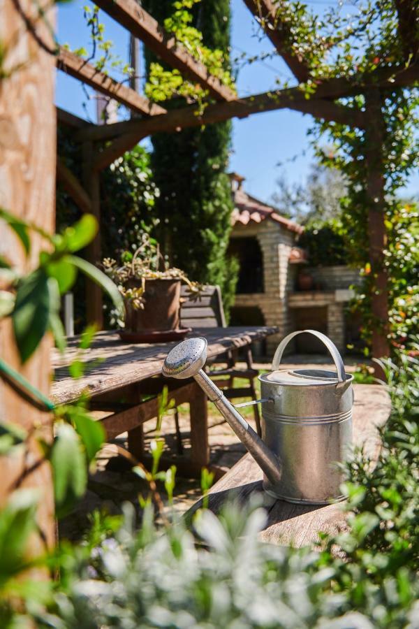 Avantgarden Umag Kültér fotó